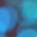 Bokeh-301